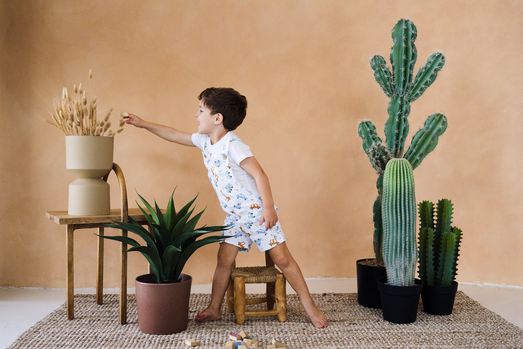A lifestyle photograph of a young boy with dark hair standing barefoot on a woven jute rug in a studio with a warm terracotta-colored wall. He is wearing a short white romper covered in a colorful pattern of cars, trucks, and safari animals, styled over a plain white t-shirt. With one foot on a small wooden stool, he leans forward to playfully touch a vase of dried pampas grass on a wooden side table. The studio set is decorated with a leafy green potted plant and a collection of tall, potted cactus.